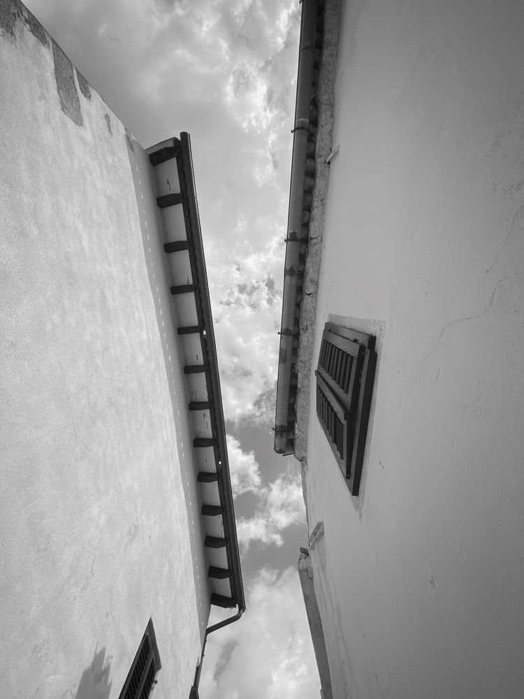 Photograph by Špela Javornik