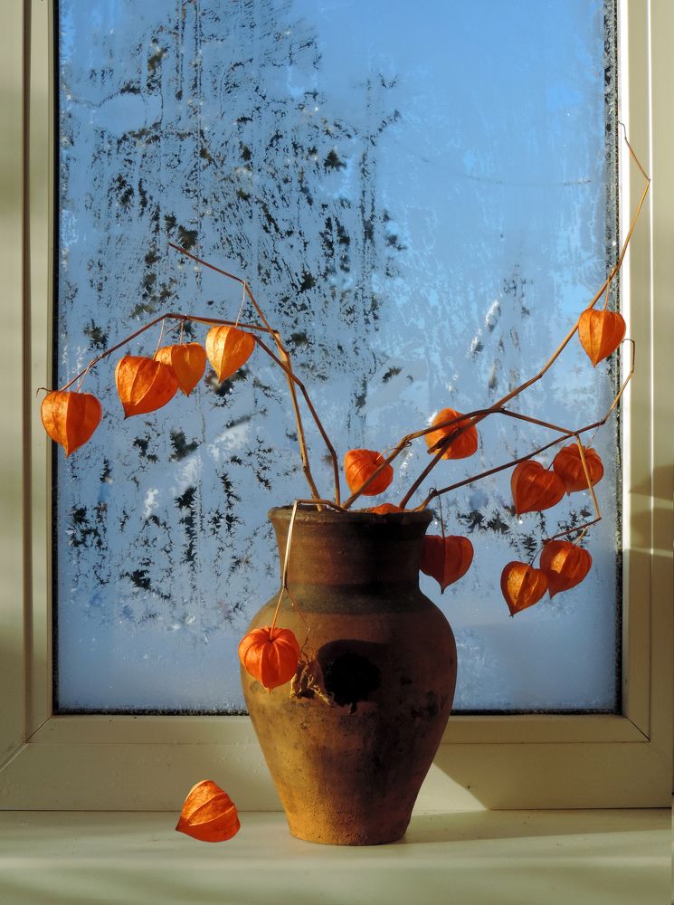 Photograph by Зоя Елизарьева