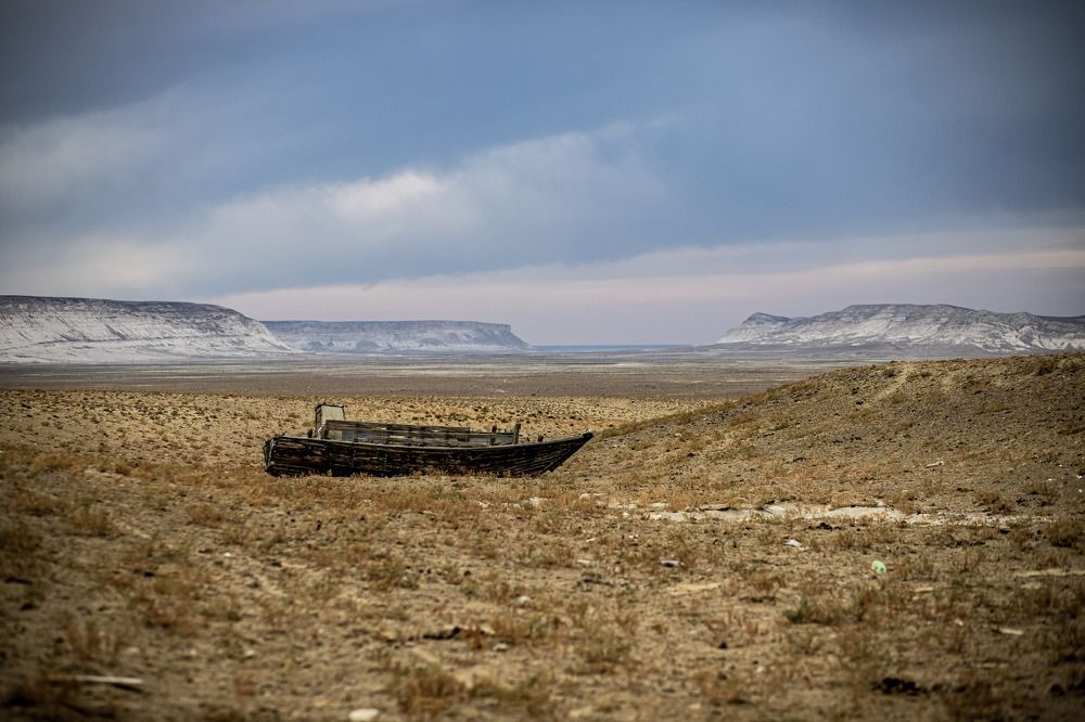 Photograph by Инна Федорова