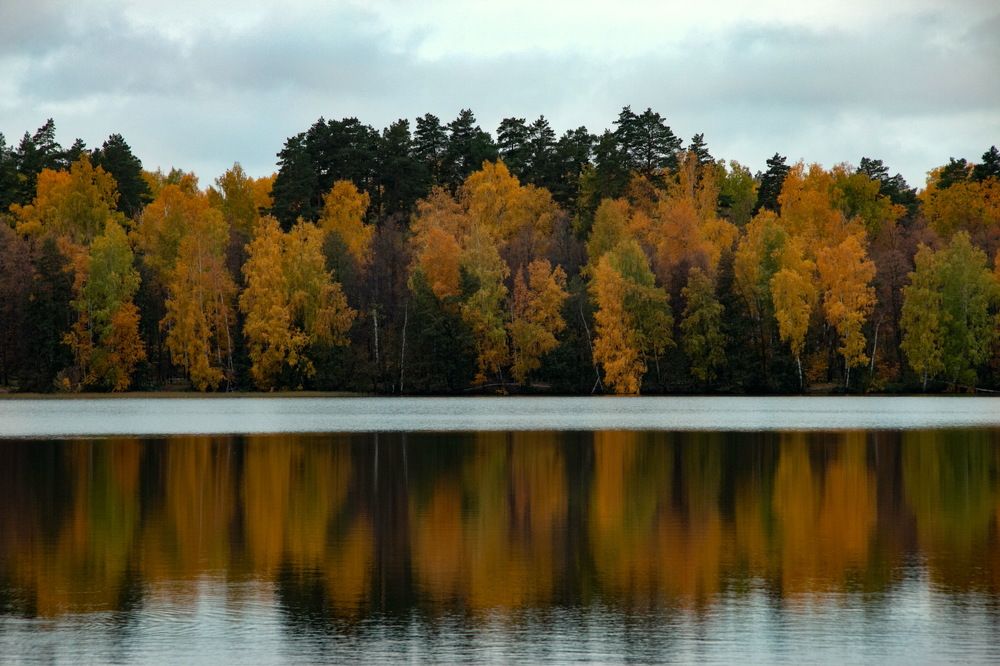 Photograph by Яна Соболева