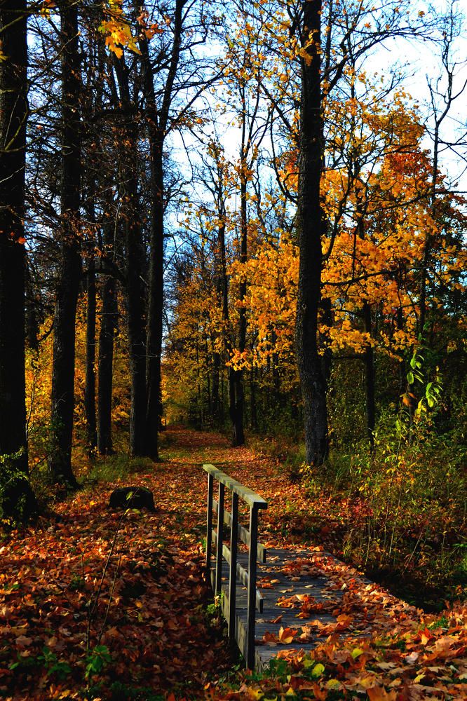 Photograph by Iljana Luksa