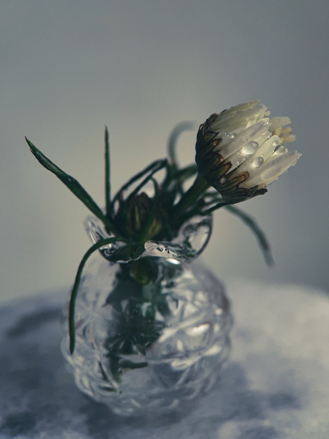 Photo #6597272