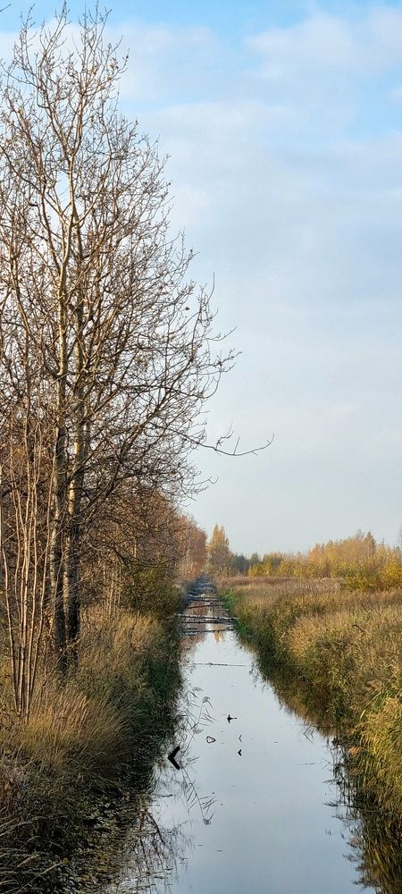 Последнее солнце