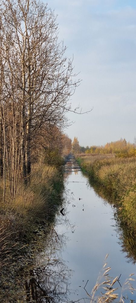Осенняя пора