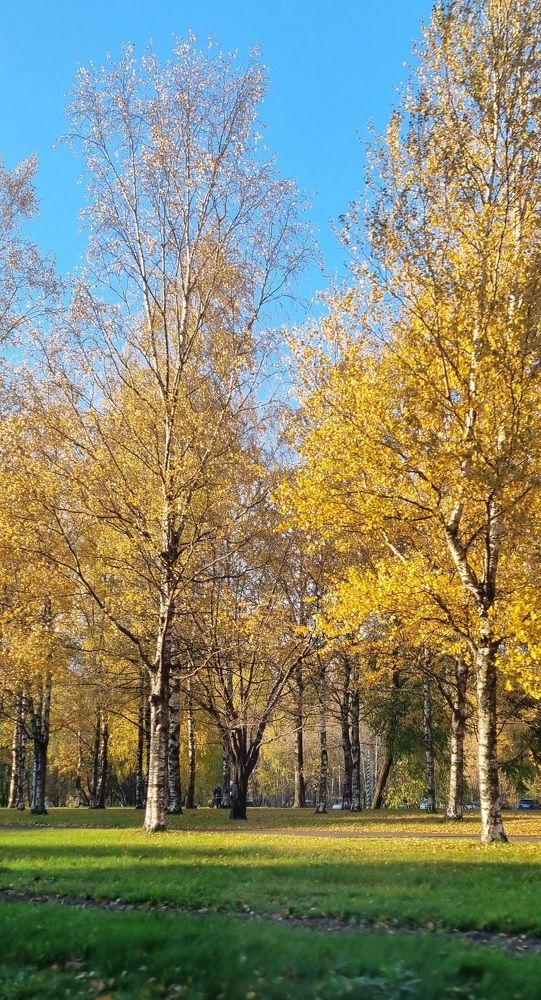 Photograph by Юрий Пышкин