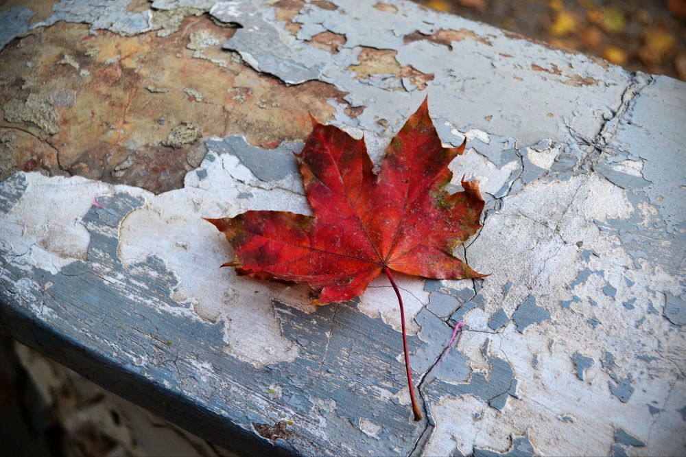 Photograph by Инна Сечко