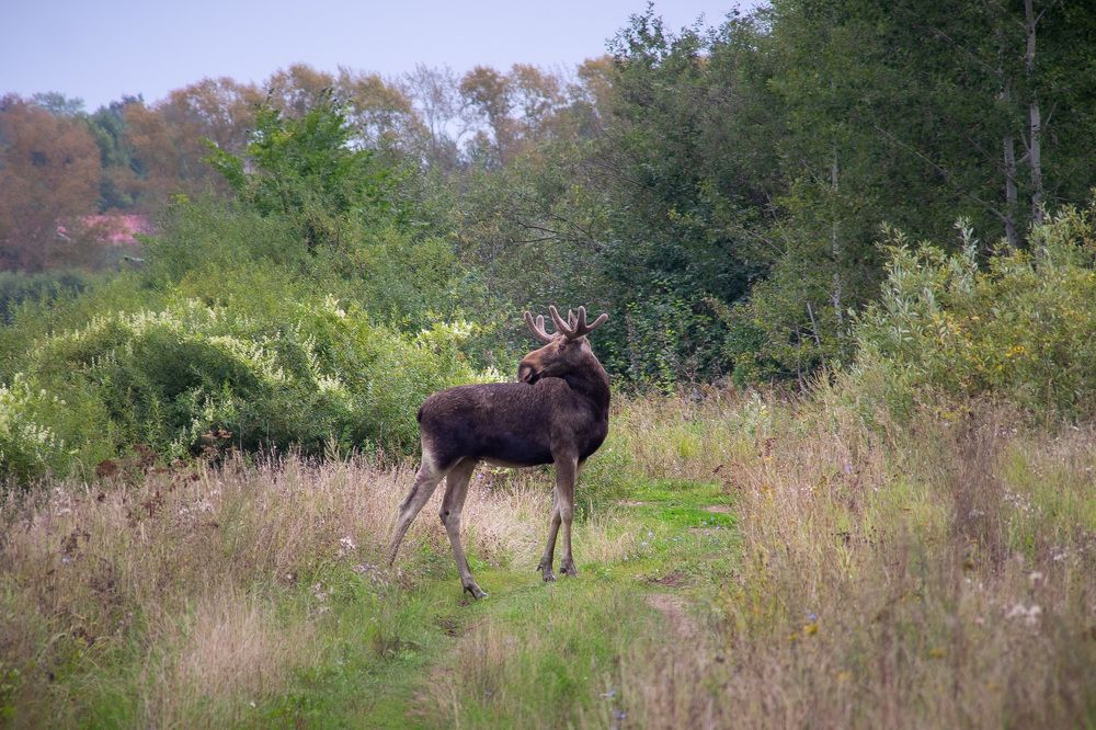 Photograph by Сергей Забиякин