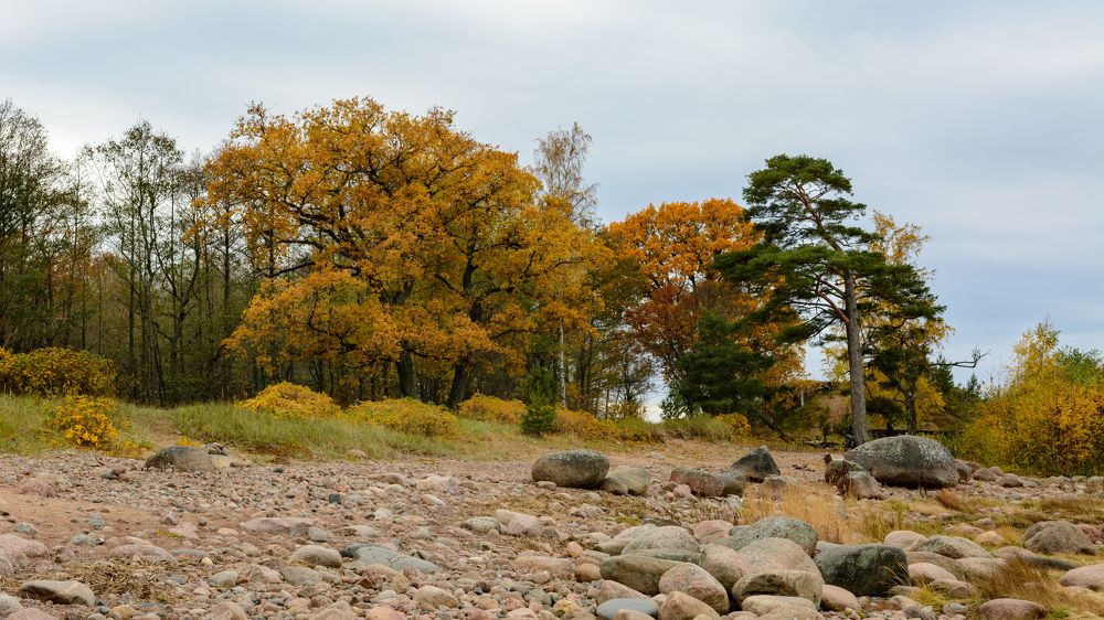 Осень на Финском заливе