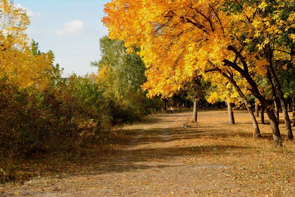 Photograph by Инна Сечко