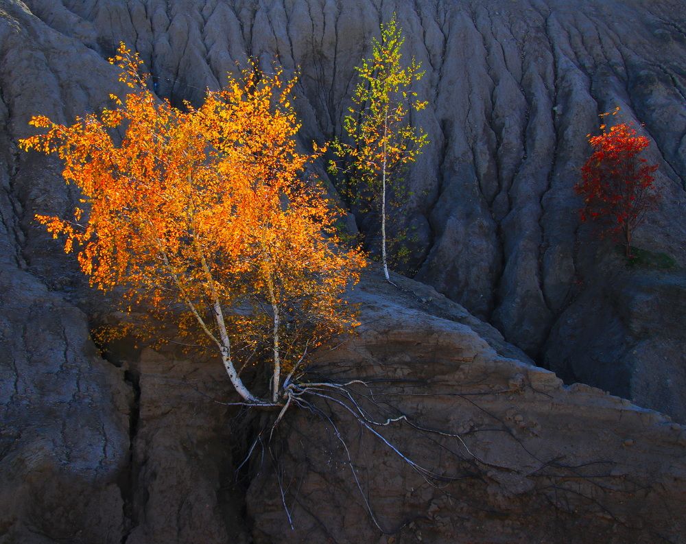 Photograph by Александр Лукин