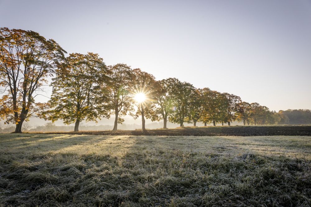 Photograph by Denisa Miazdrová