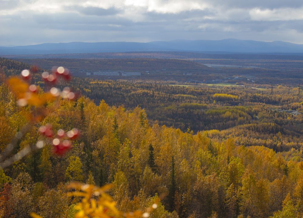 Photograph by Наталия Никитинская