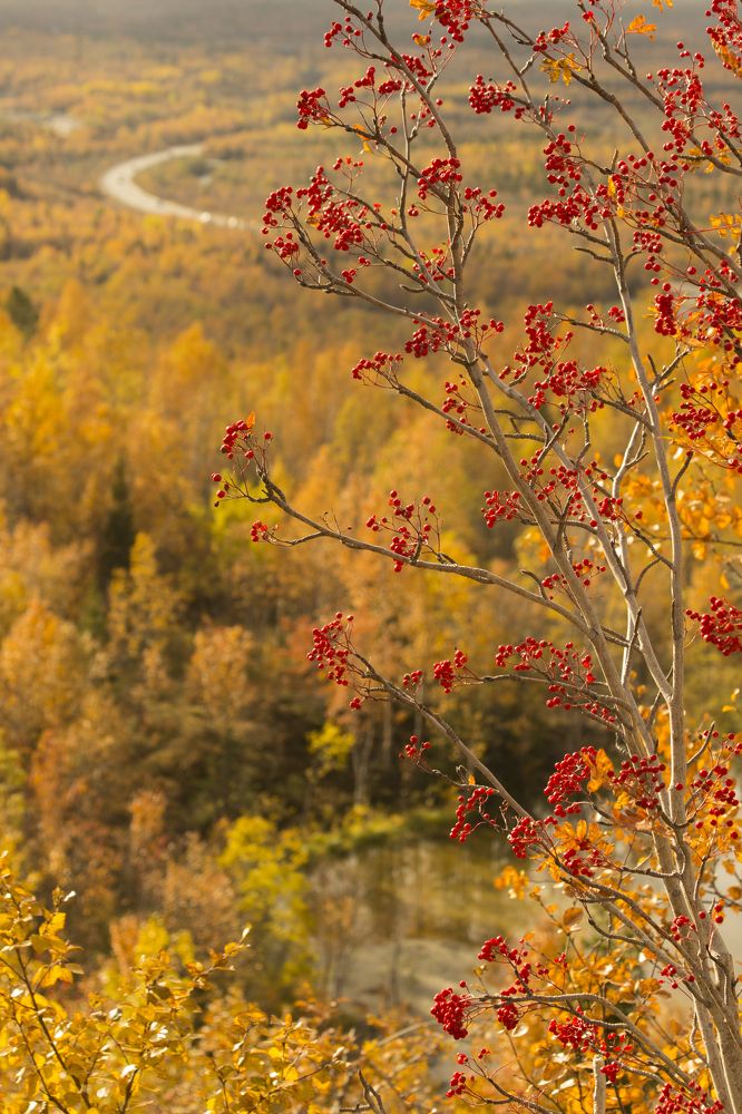 Photograph by Наталия Никитинская