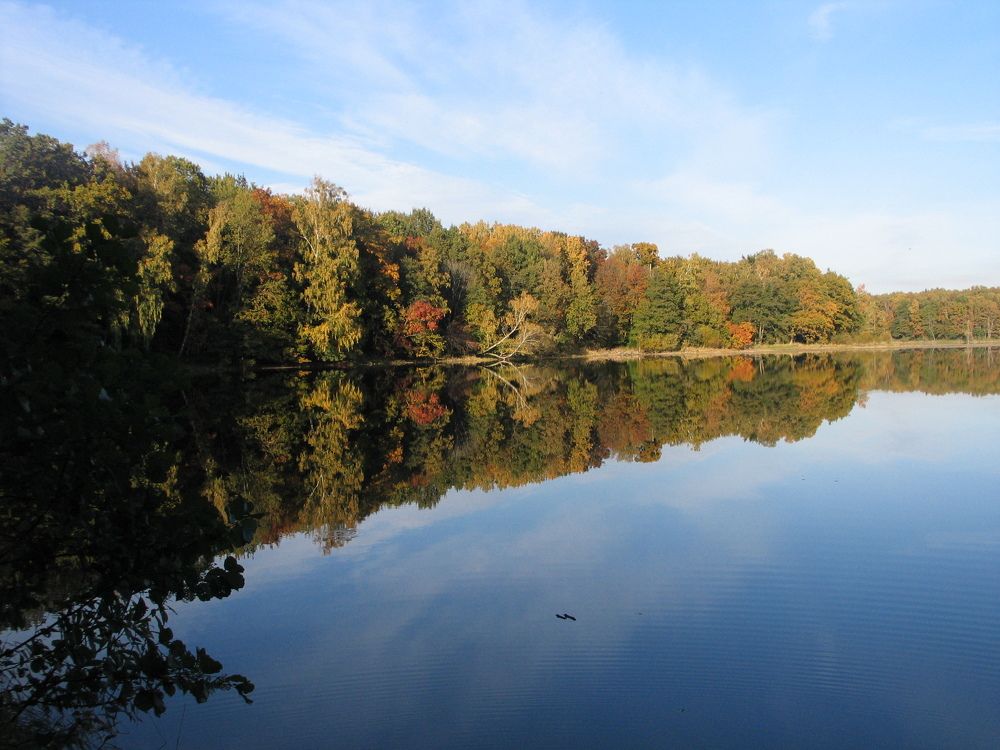 Photo #6597645
