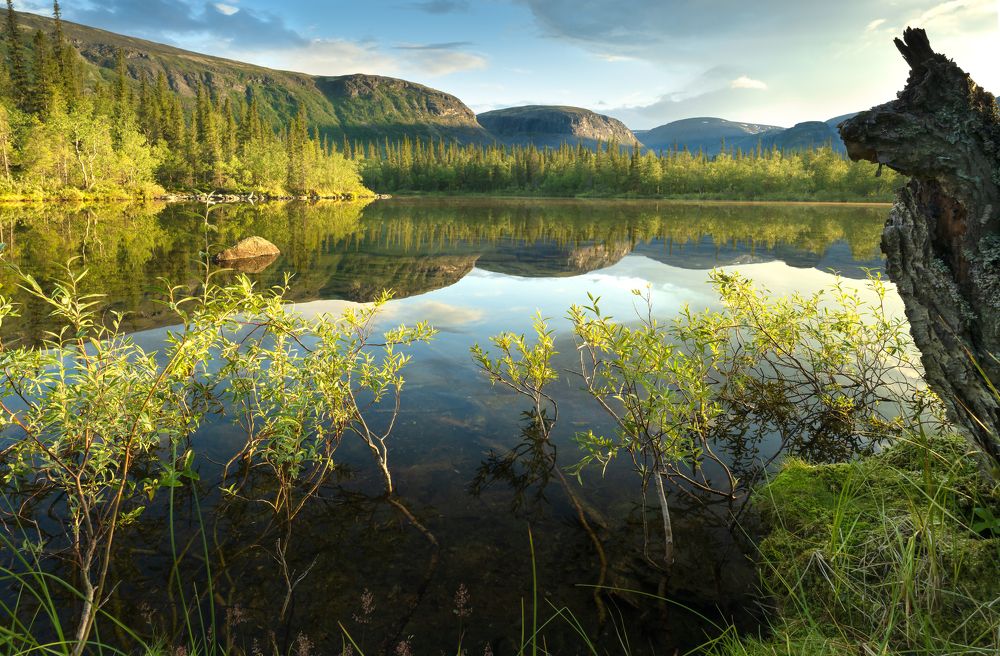 Morning on a mountain lake