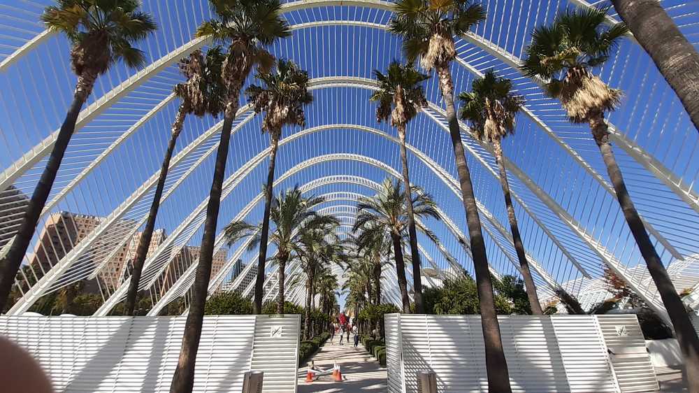 Photograph by Rafa Martínez