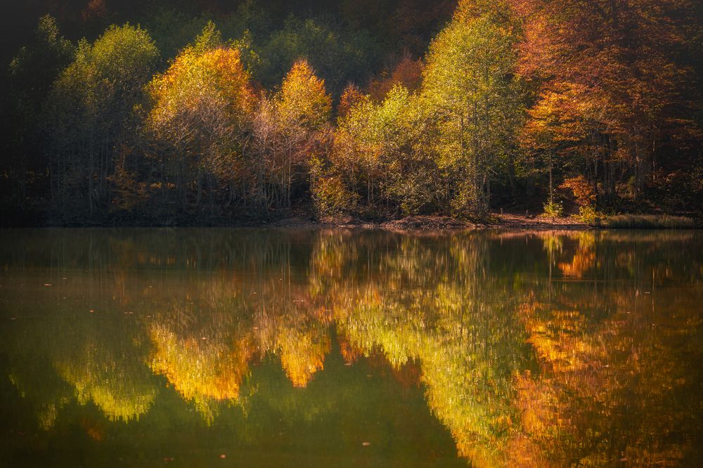 Photograph by Murat TOPAL