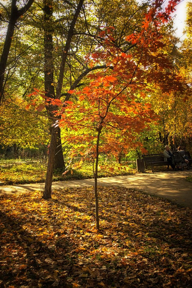 Don't hold me, please! I want to dance...