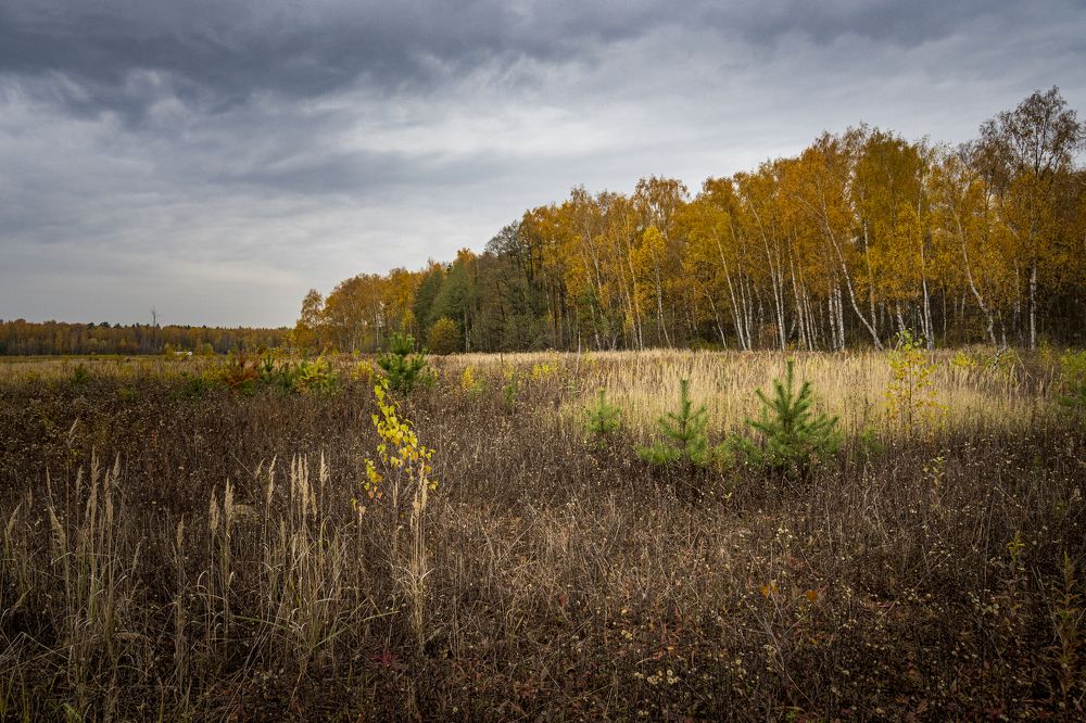 Photograph by Roman Adler