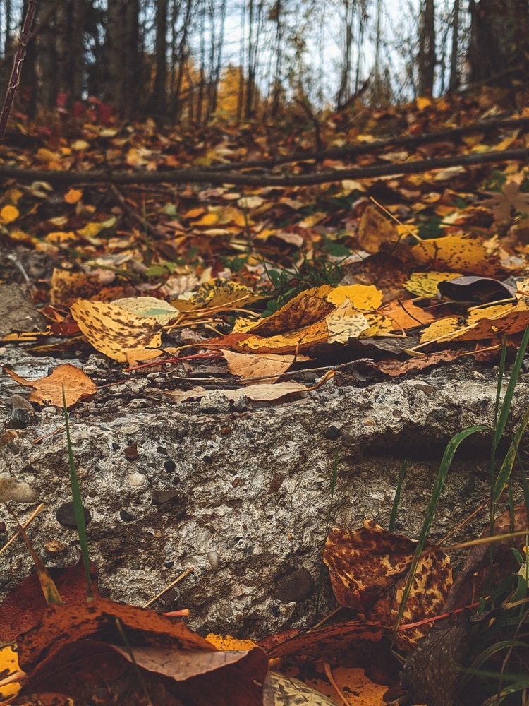 Photograph by Денис Пономарёв