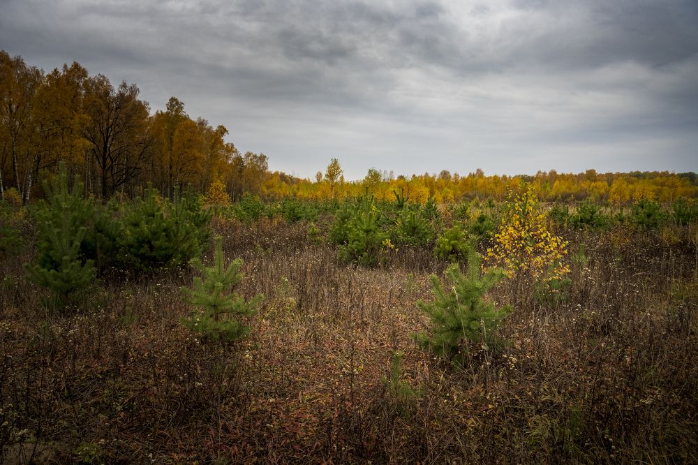 Photograph by Roman Adler