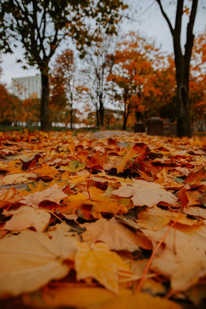 Фотография автора Лукашенко Ольга