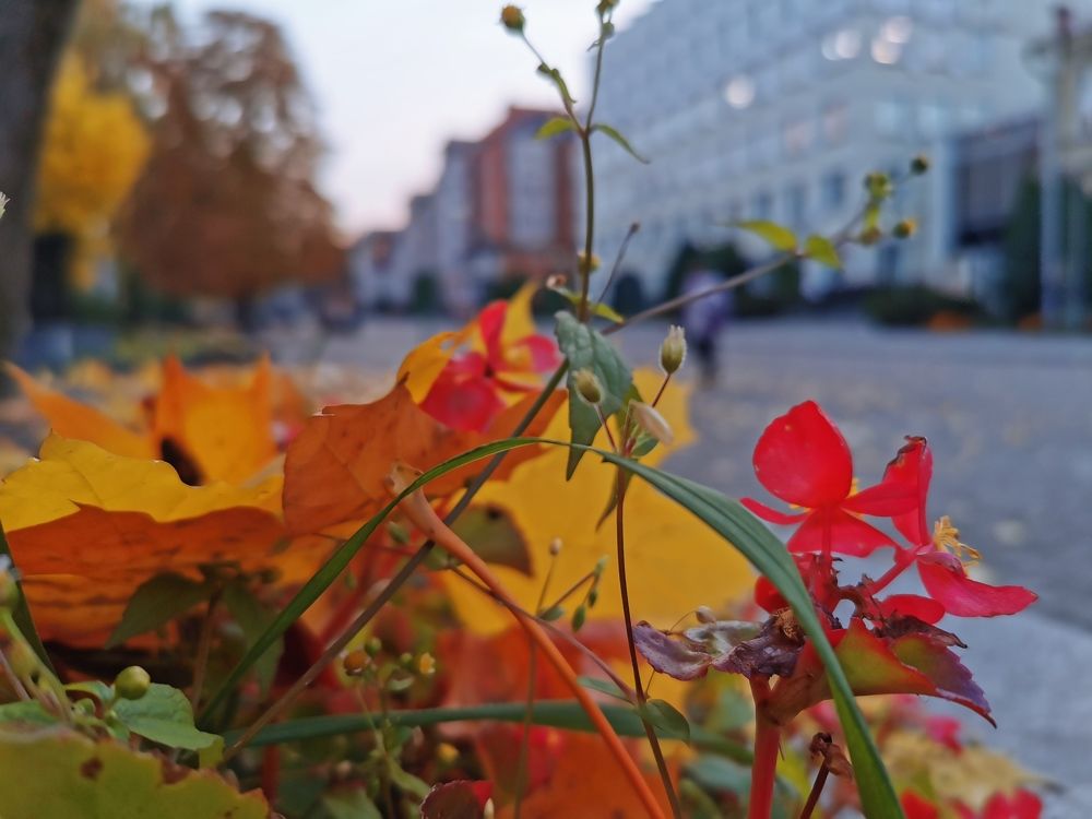 Photograph by Людмила Орловская