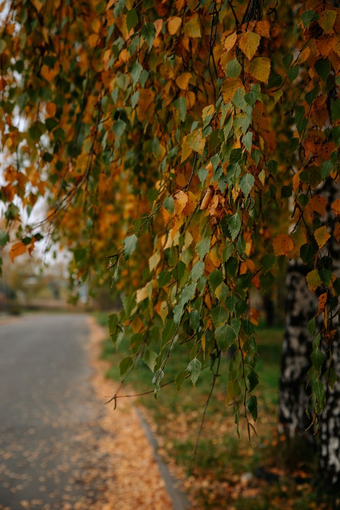 Фотография автора Лукашенко Ольга