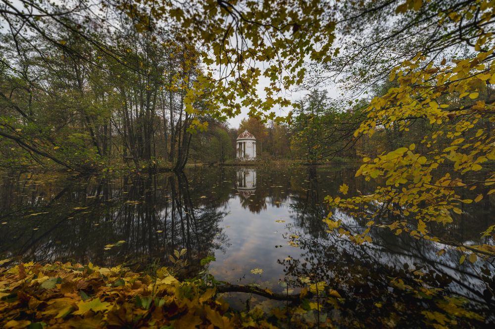 Photograph by Roman Adler