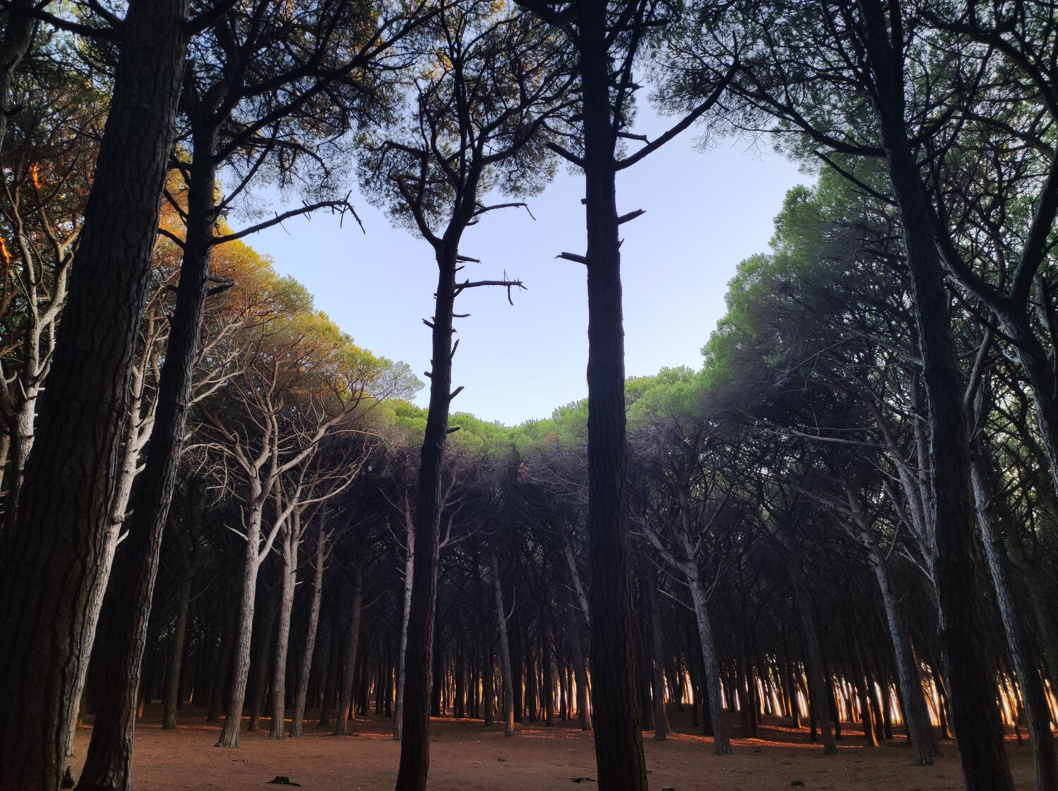 Photo #6598025