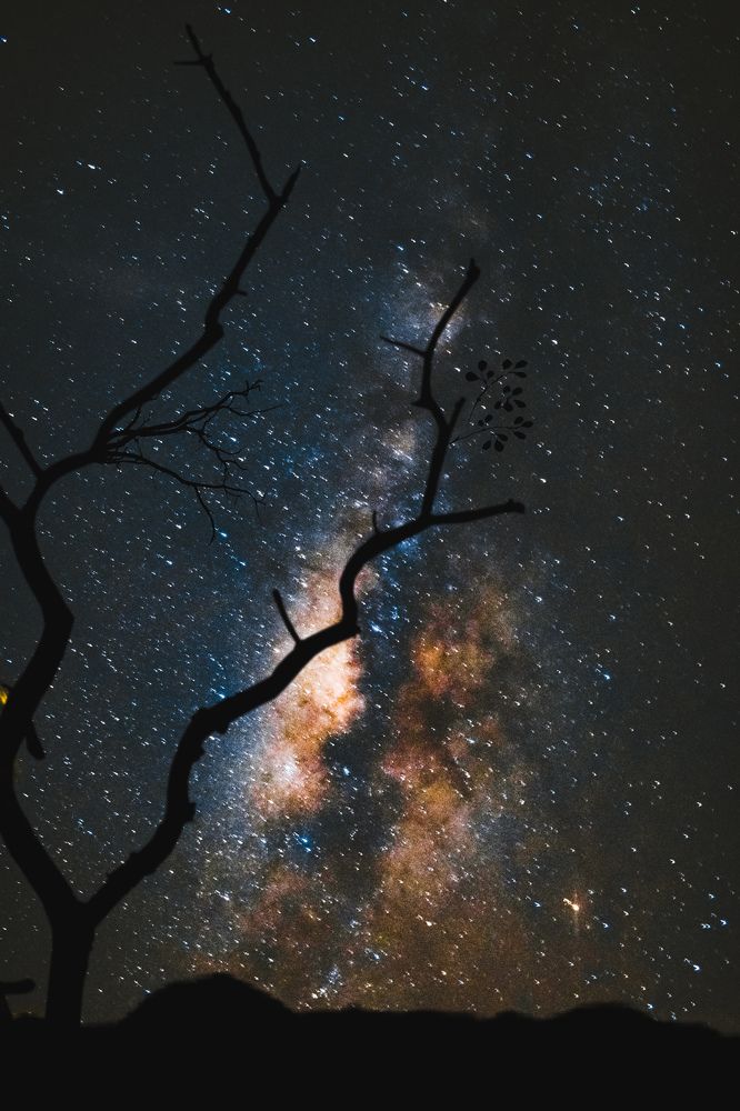 Photograph by Shammu