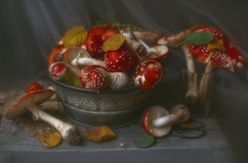 Photograph by Svoboda Andreeva