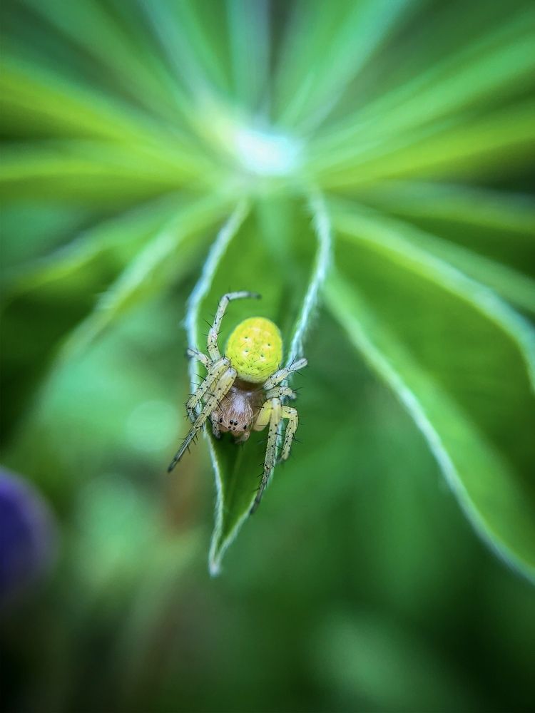 Photograph by Сергей Фаренюк