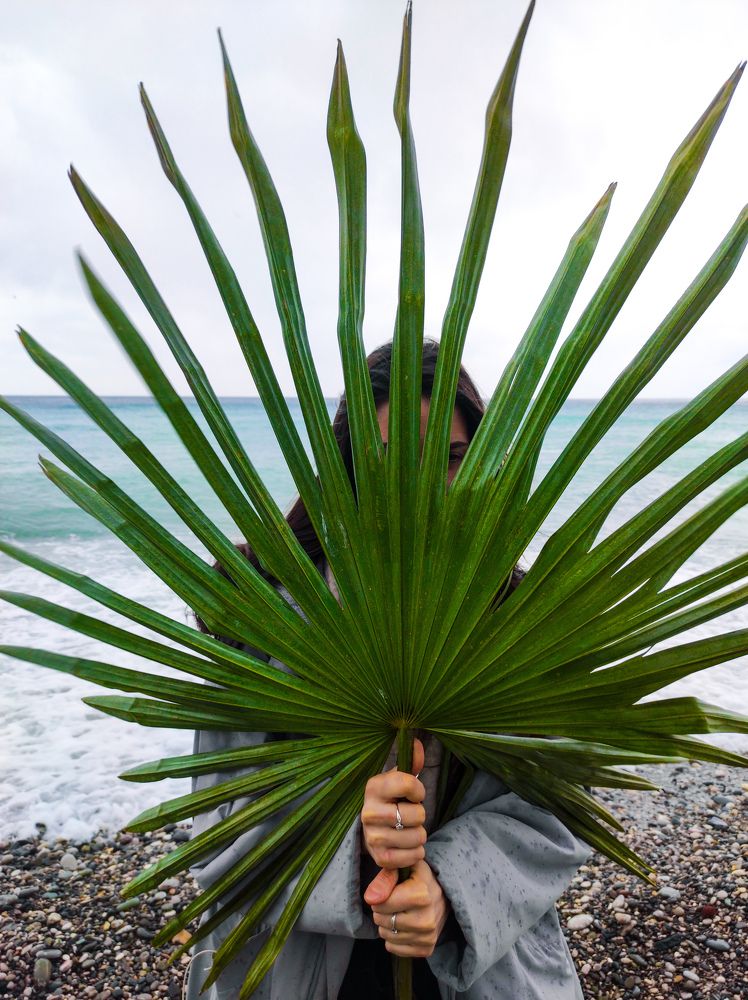 Photograph by Дмитрий Батраков