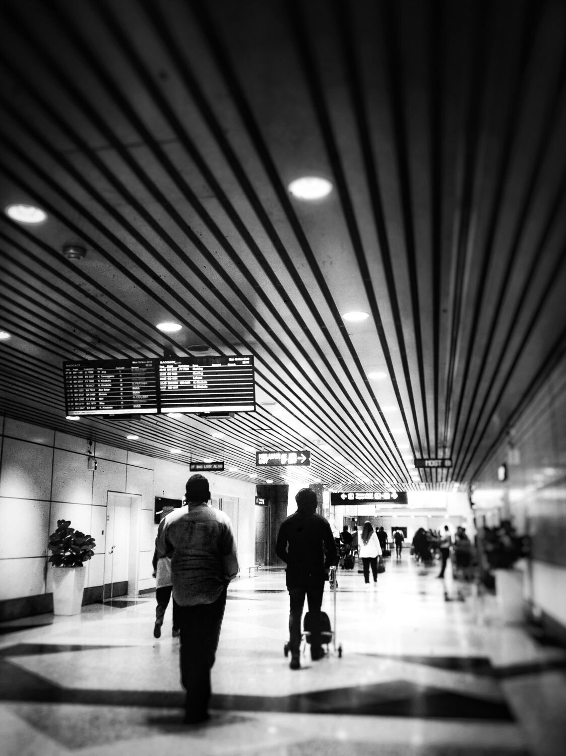 Photo #6598129