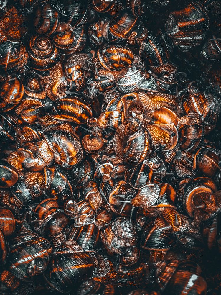 Photograph by Дмитрий Соляников