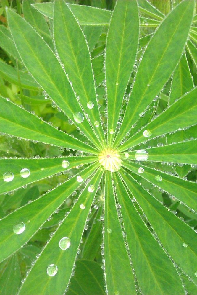 Photograph by Алия Хафизова