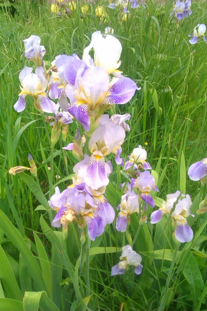 Photograph by Алия Хафизова