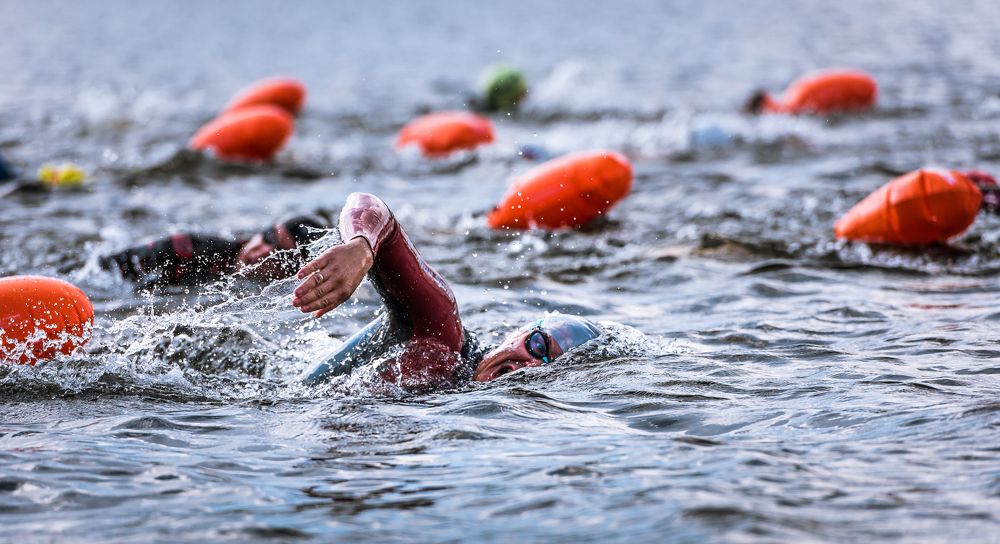 Фотография автора Дмитрий Дроздов