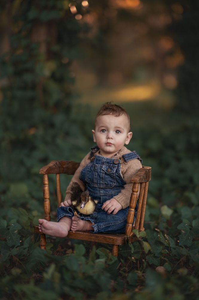 Photograph by Amalia Zilio