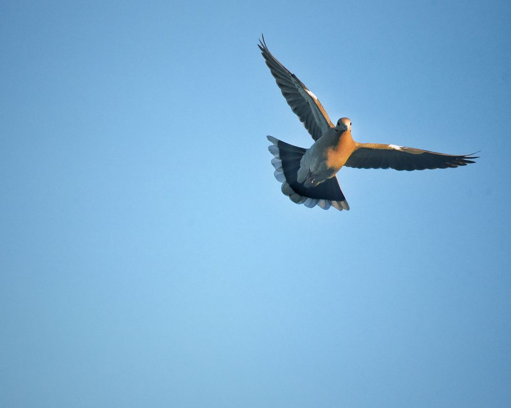 Фотография автора Gabriela Bonilla