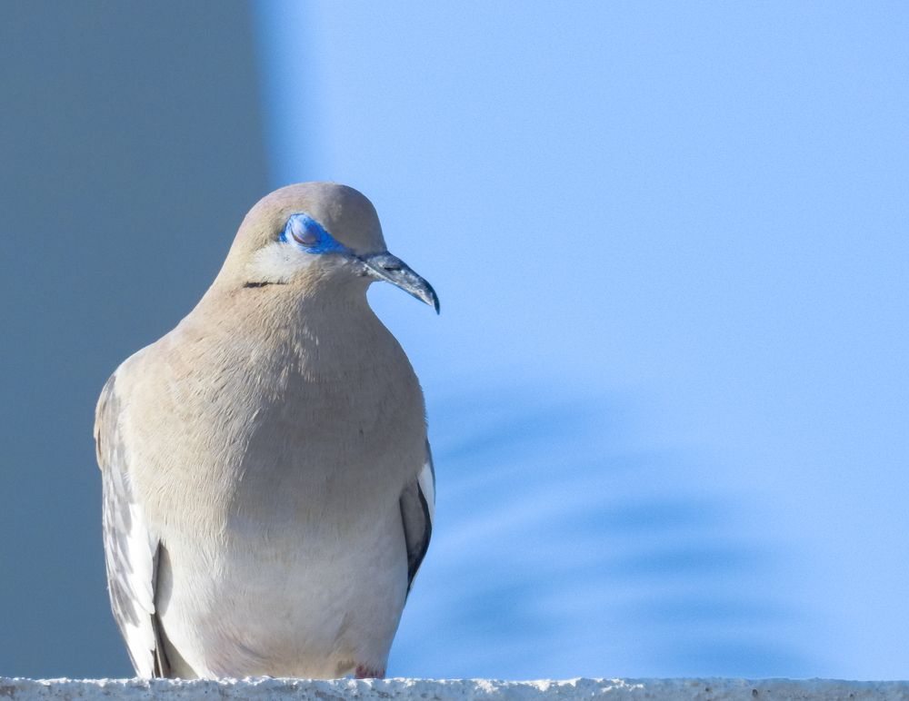 Фотография автора Gabriela Bonilla