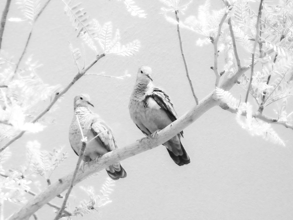 Фотография автора Gabriela Bonilla