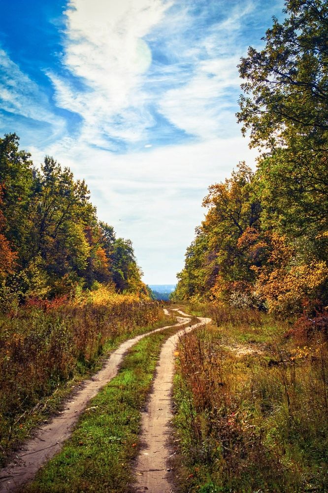 Photograph by Андрей Потапов