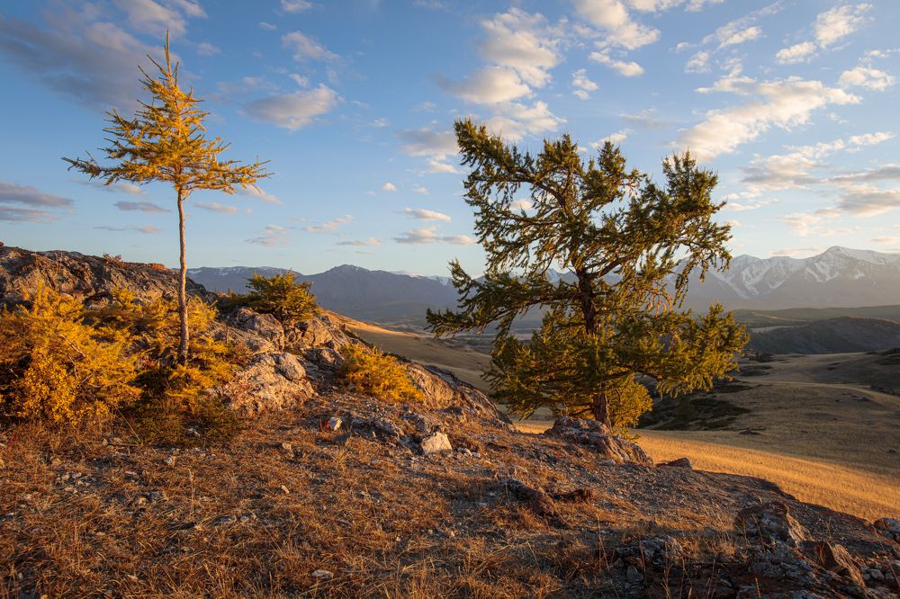 Photograph by Мария Казакова