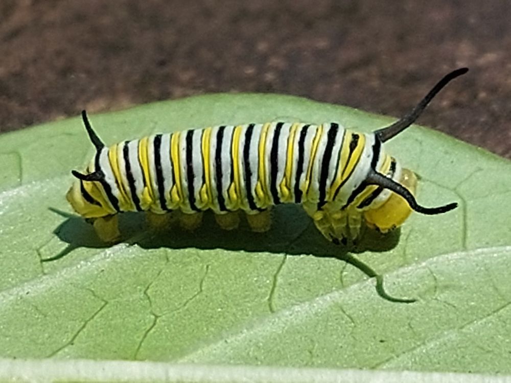 Photograph by Virginia Azocar Contreras