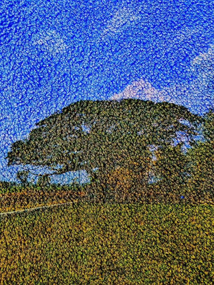 Photograph by prazzt boedhi