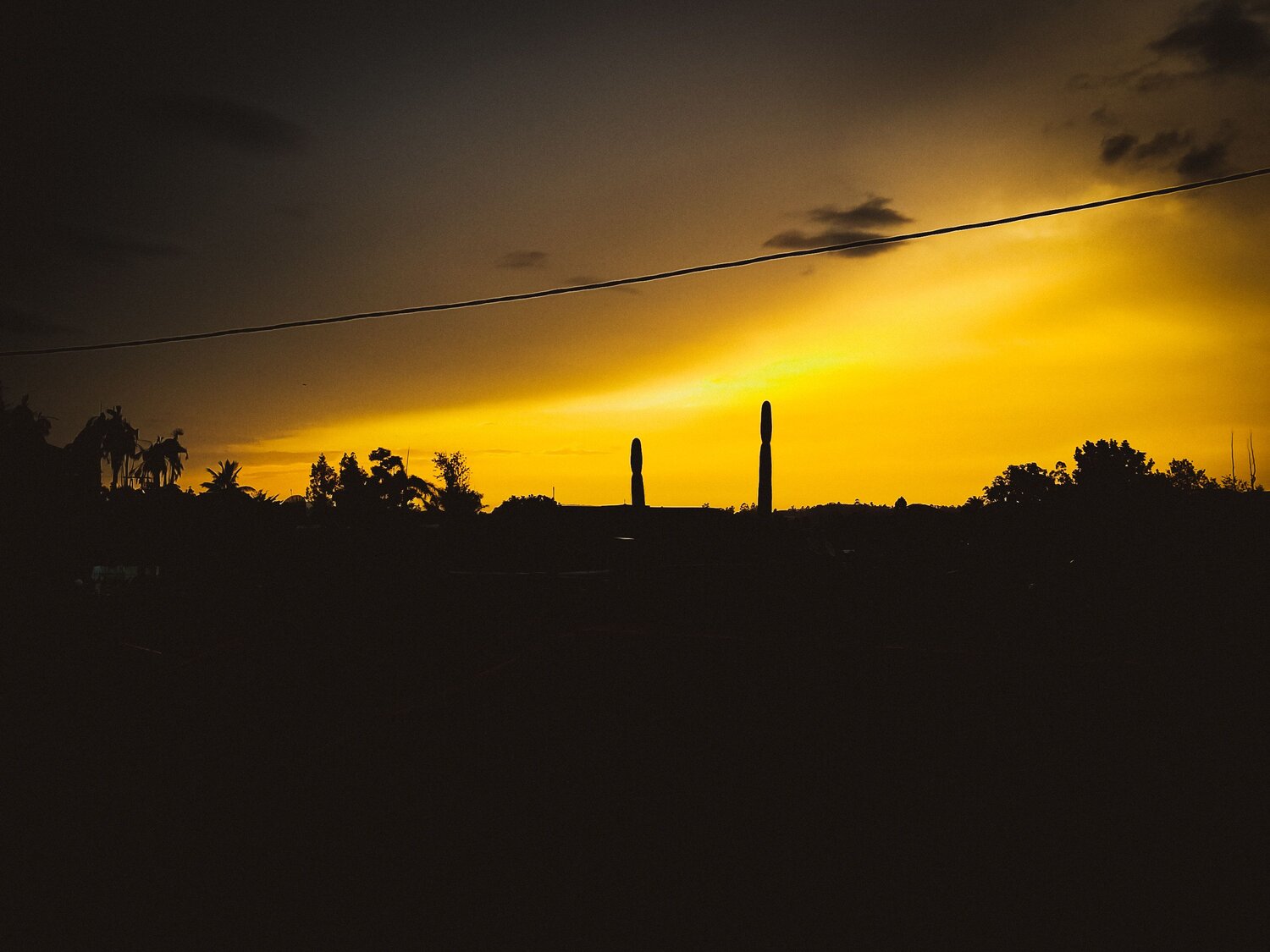 Golden Night