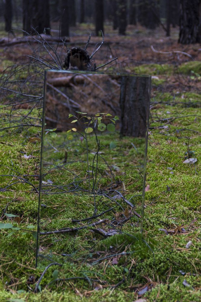 Photograph by Anna Gapanovich