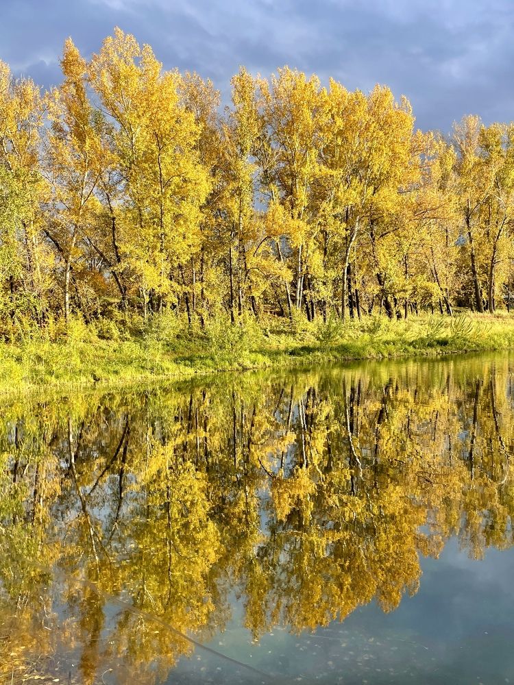 Photograph by Татьяна Ноздрина